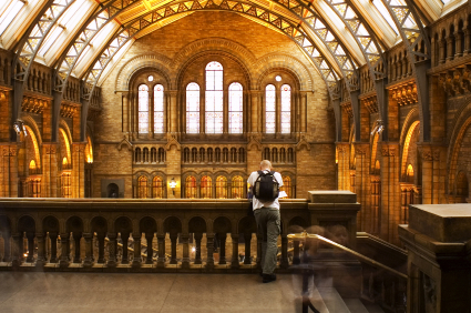 Natural History Museum, London: Heritage Planning Consultancy (Award)
