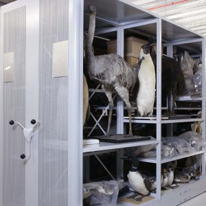 stuffed animal storage 300x300