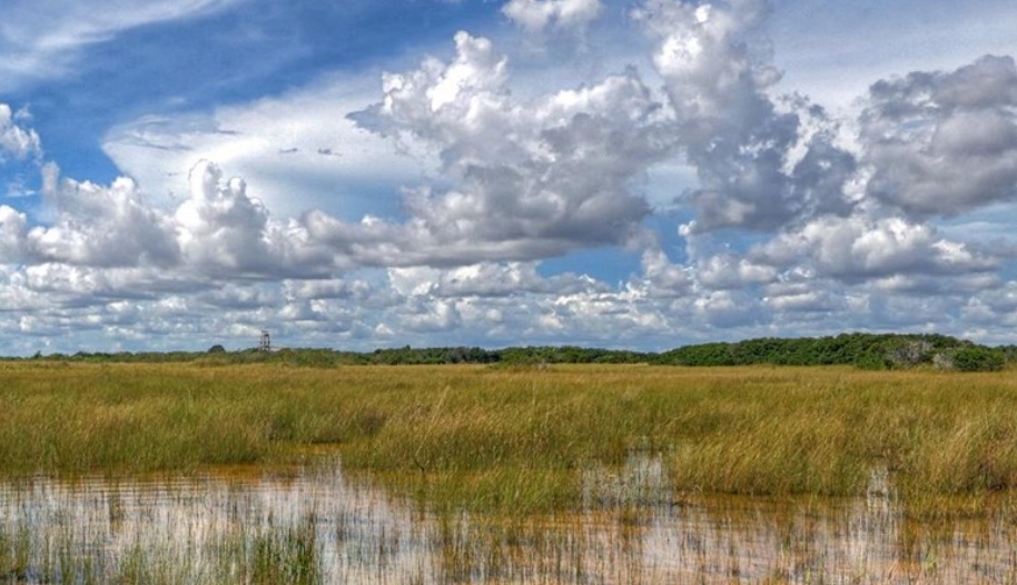 United States: Department of the Interior Establishes New Everglades to Gulf National Wildlife Refuge