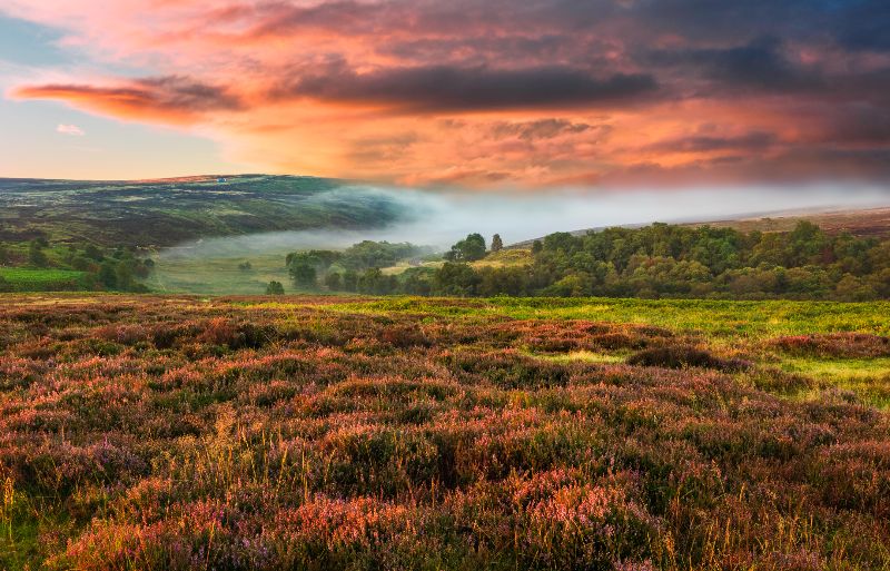 United Kingdom: Brontë Country to Become National Nature Reserve