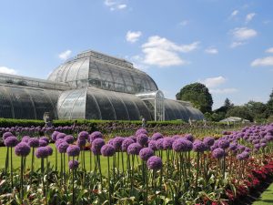 Royal Botanic Gardens, Kew: Exhibition Build Services (Award)