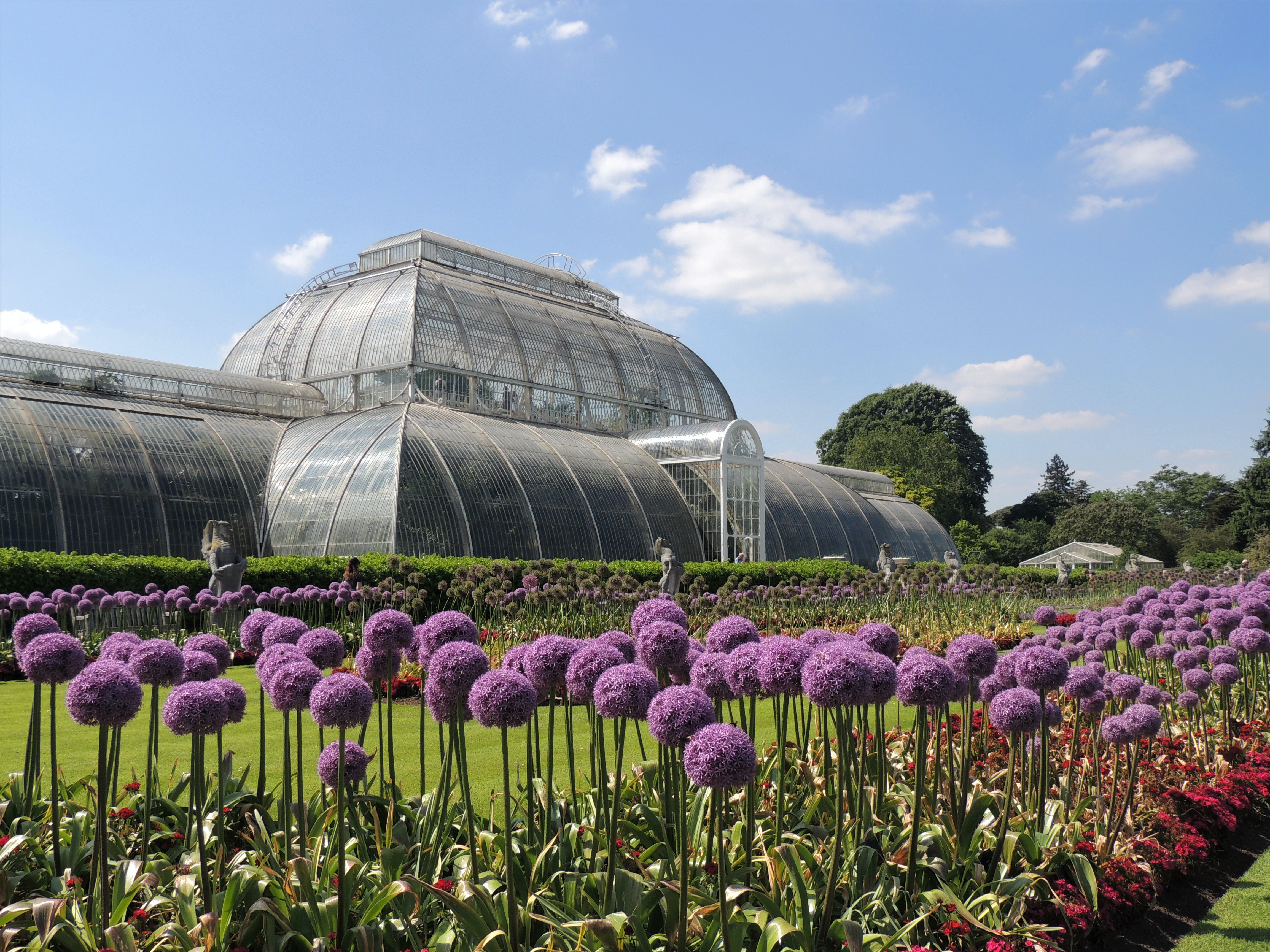 Board of Trustees of the Royal Botanic Gardens Kew: Meeting Rooms Support (Award)