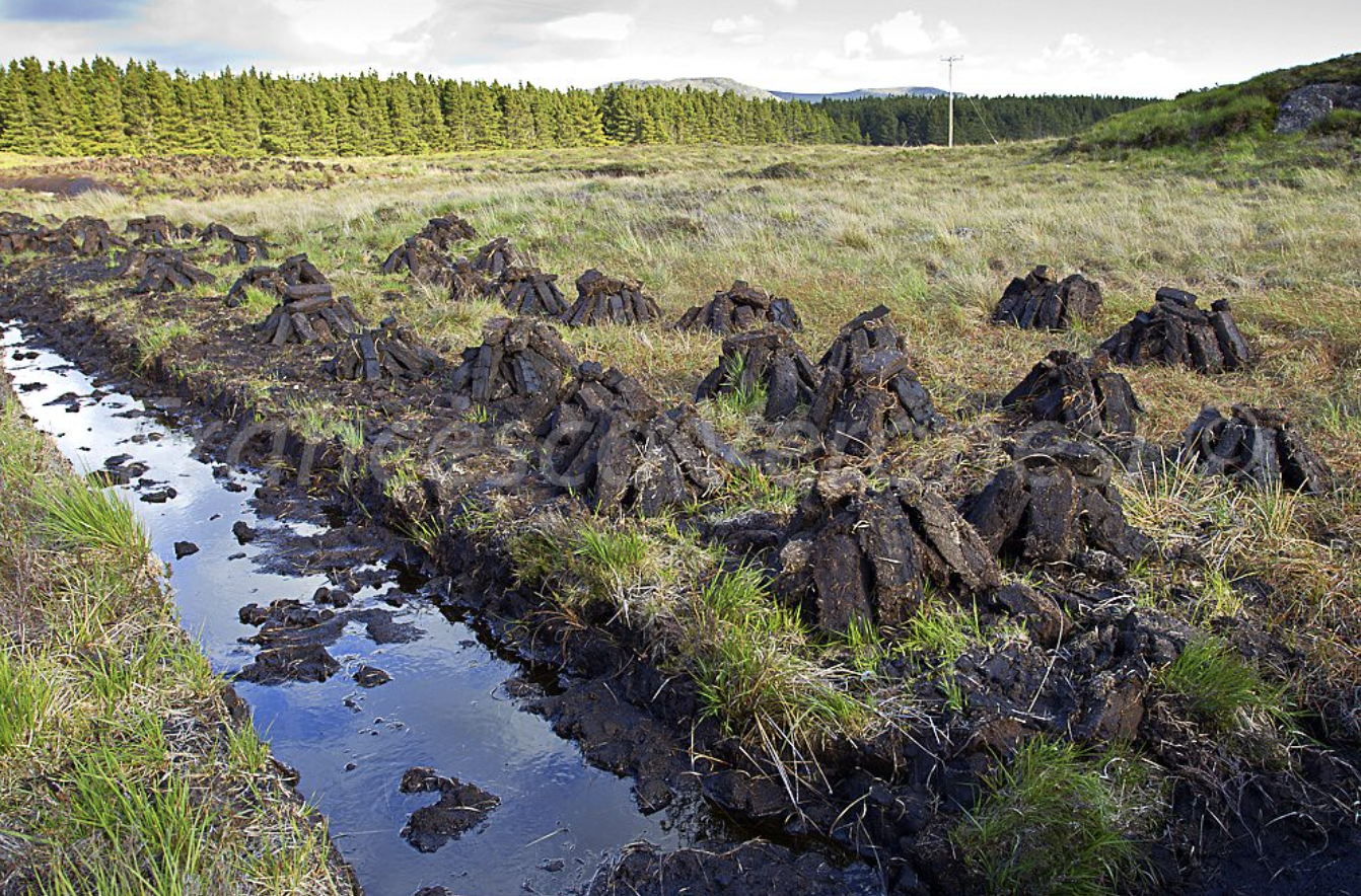 Department of Housing Local Government and Heritage: Cleaning Services at Connemara National Park