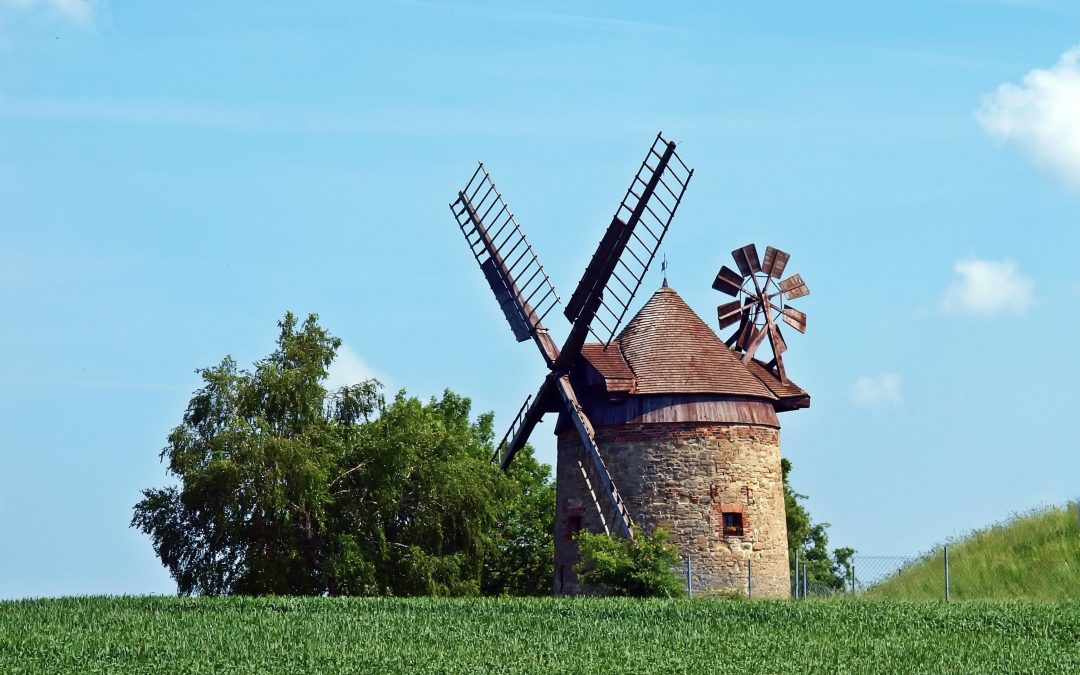 Netherlands: Dutch Open Air Museum Appoints Former Rijksmuseum Boerhaave Director