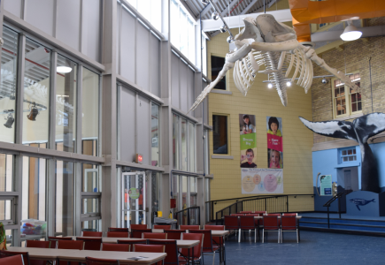 Canada: Children’s Museum Putting $150k Grant Toward Community Space