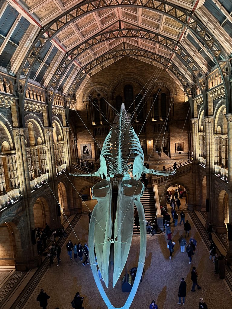 Natural History Museum, Science Museum and Victoria & Albert Museum: Museum Security Consortium (Award)