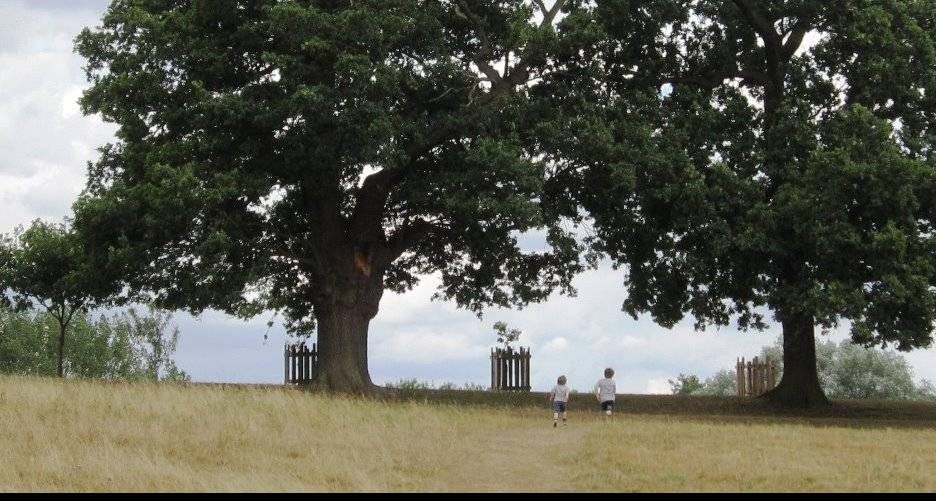 East Herts District Council: Ehc Production of a Parkland Master Plan for Pishiobury Park (Award)